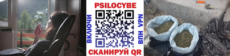 Псилоцибиновые грибы Psilocybine cubensis Людиново