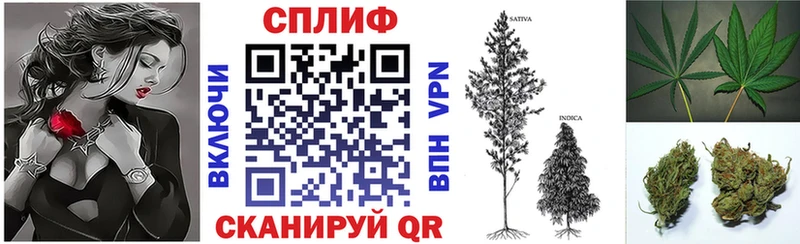 Конопля ГИДРОПОН  Людиново 